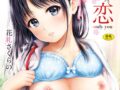 B472abnen00227pl