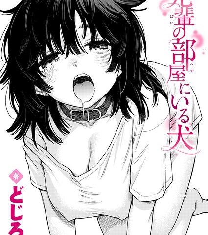 B915awnmg04409pl