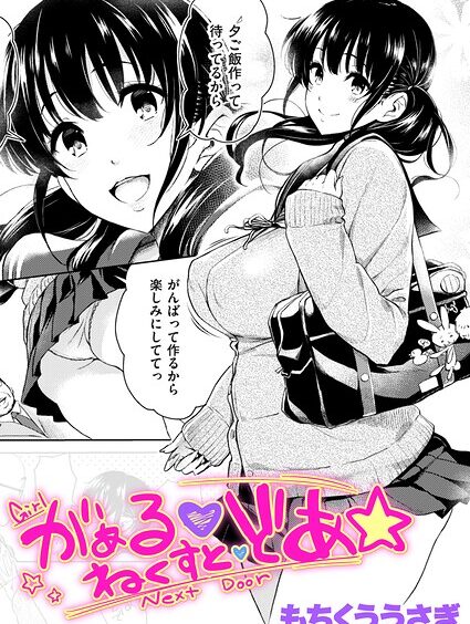B915awnmg04506pl