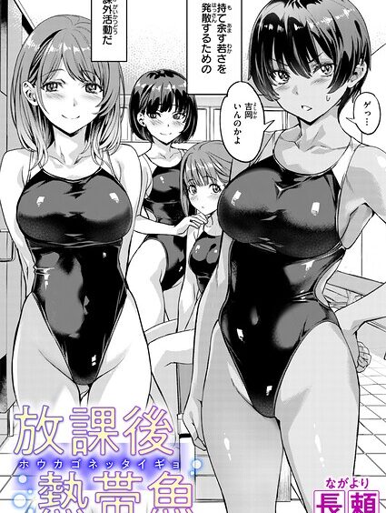 B915awnmg04509pl