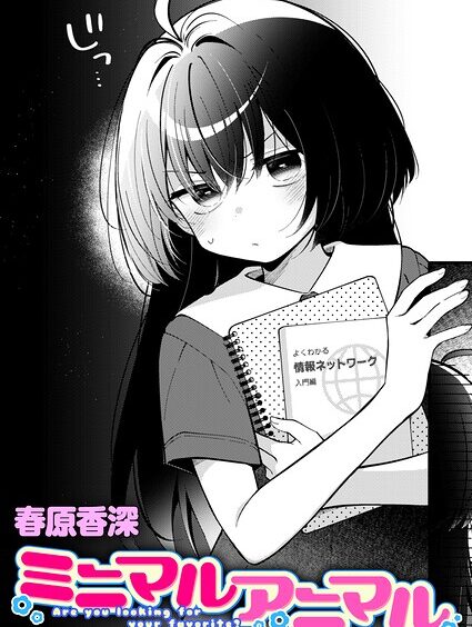 B915awnmg04513pl