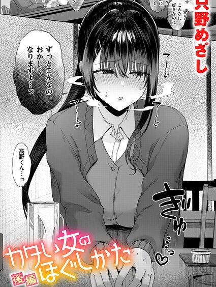 B915awnmg04530pl