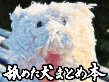 D 617989pl