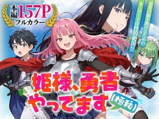 D 753294pl