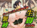 D 767065pl