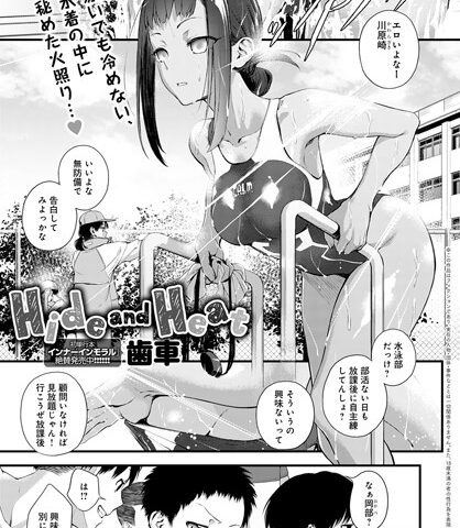 Dmmmg 3116pl