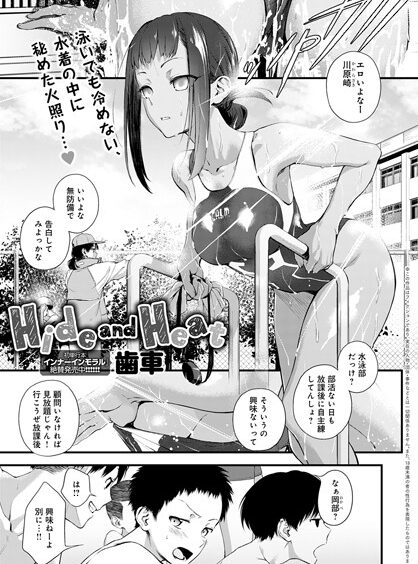 Dmmmg 3116pl