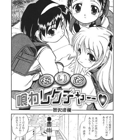 S011akamj02916pl